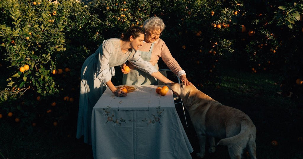 One Day With Anastasia Miari