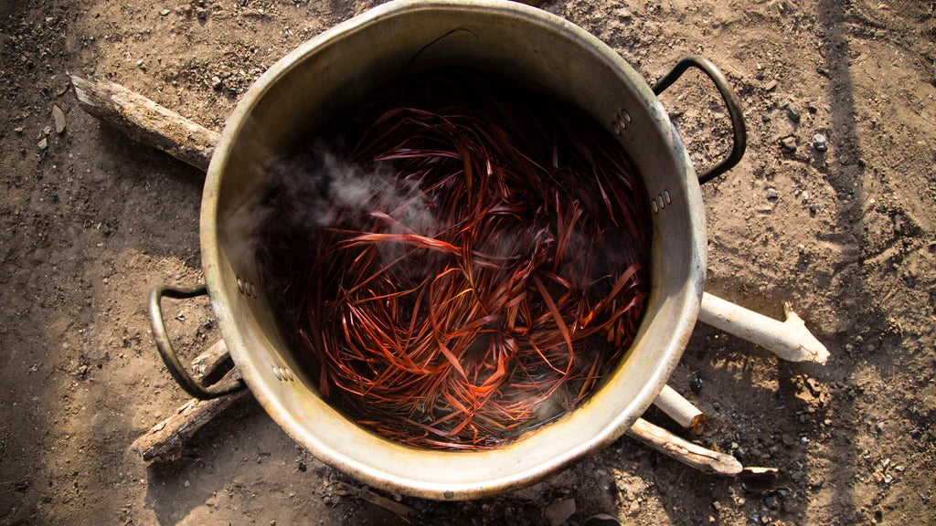 Crafted in Colombia: Iraca Palm Weaving