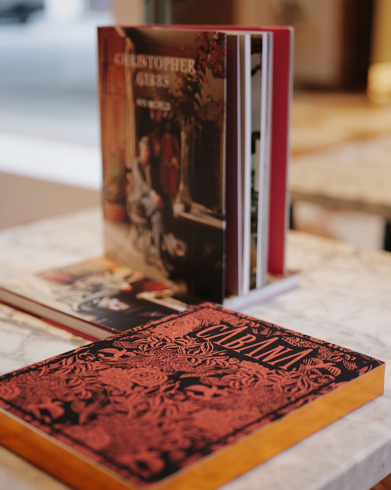 Polydactyly cat found, possibly lost home, image size:1296x1622