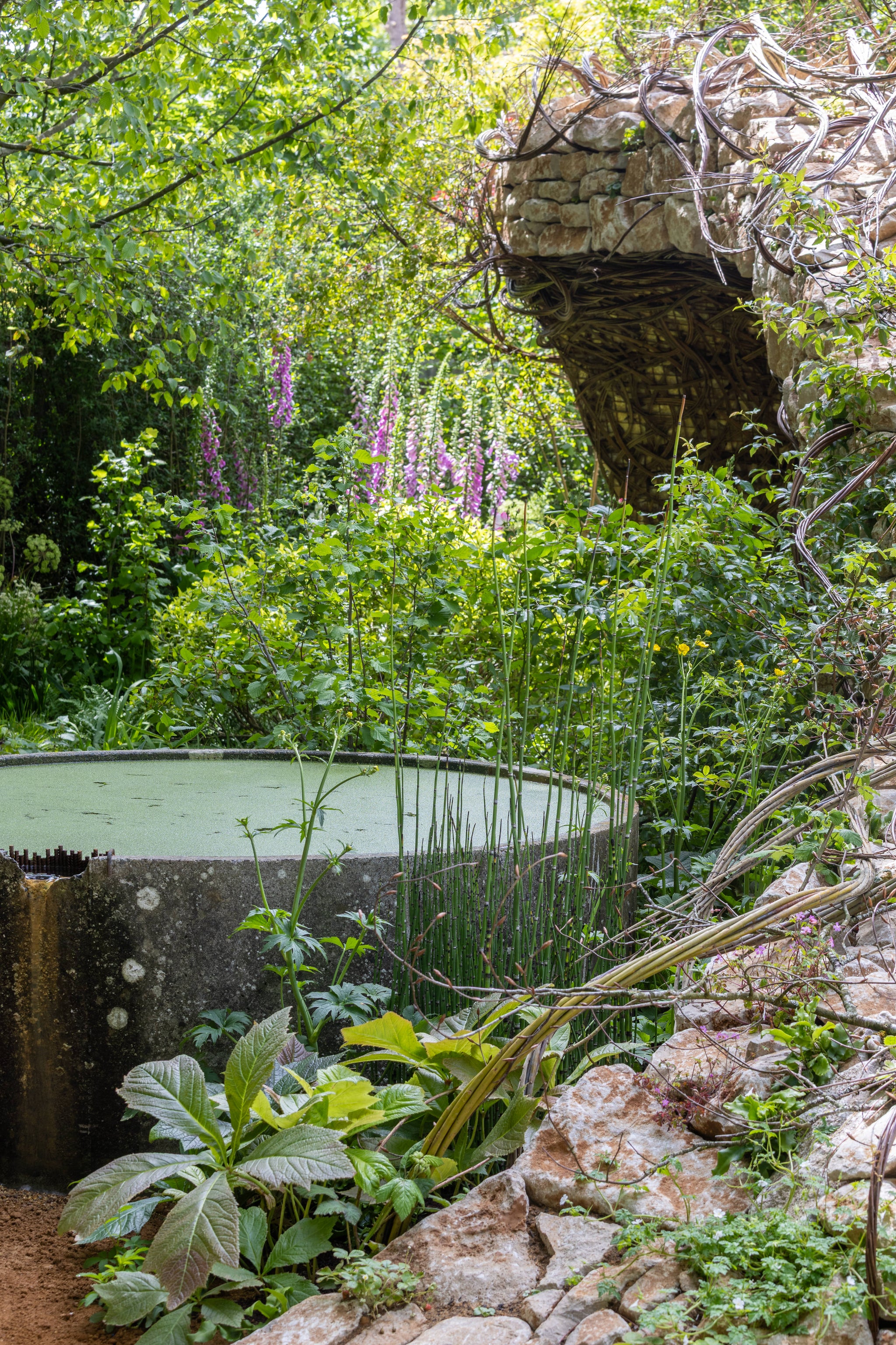 Cabana's Best In Show: RHS Chelsea 2026 – Cabana Magazine