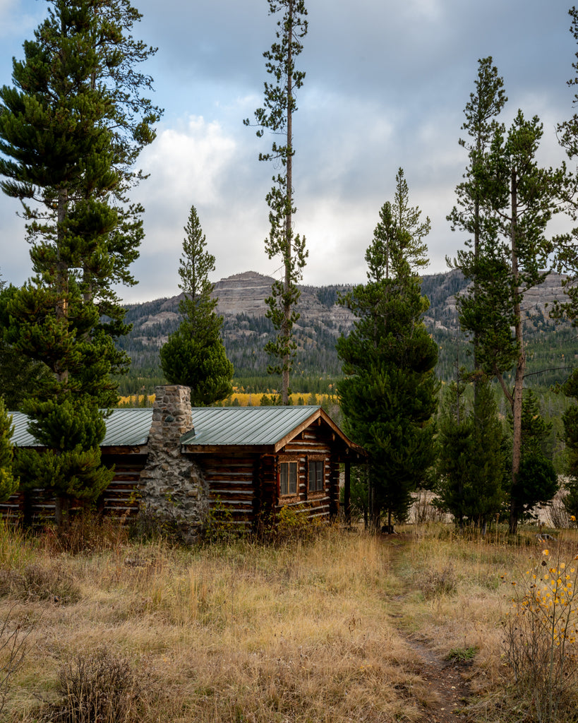 Finders Keepers with BBC Fake or Fortune's Philip Mould – Cabana Magazine