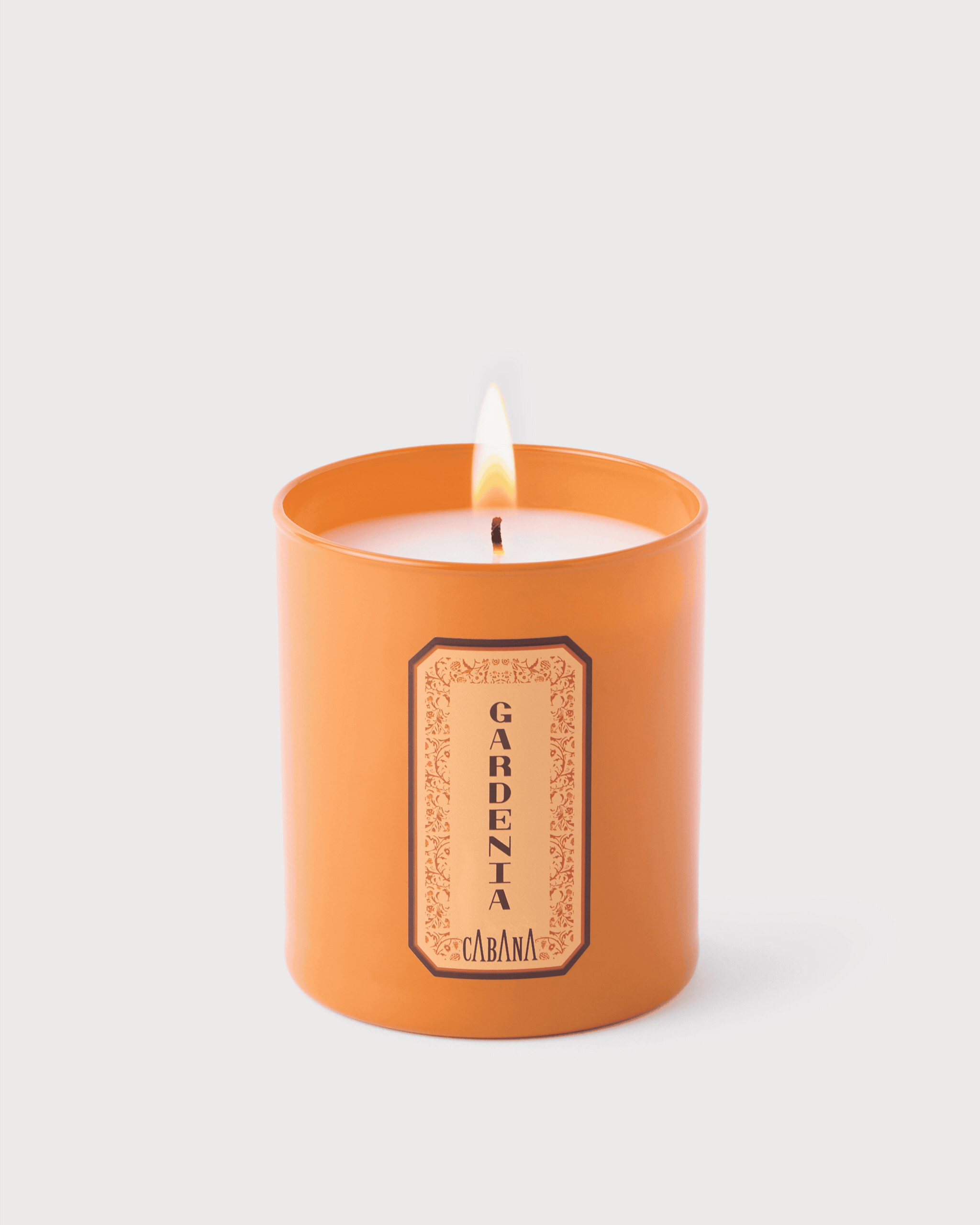 Gardenia3840_2048x.gif?v=