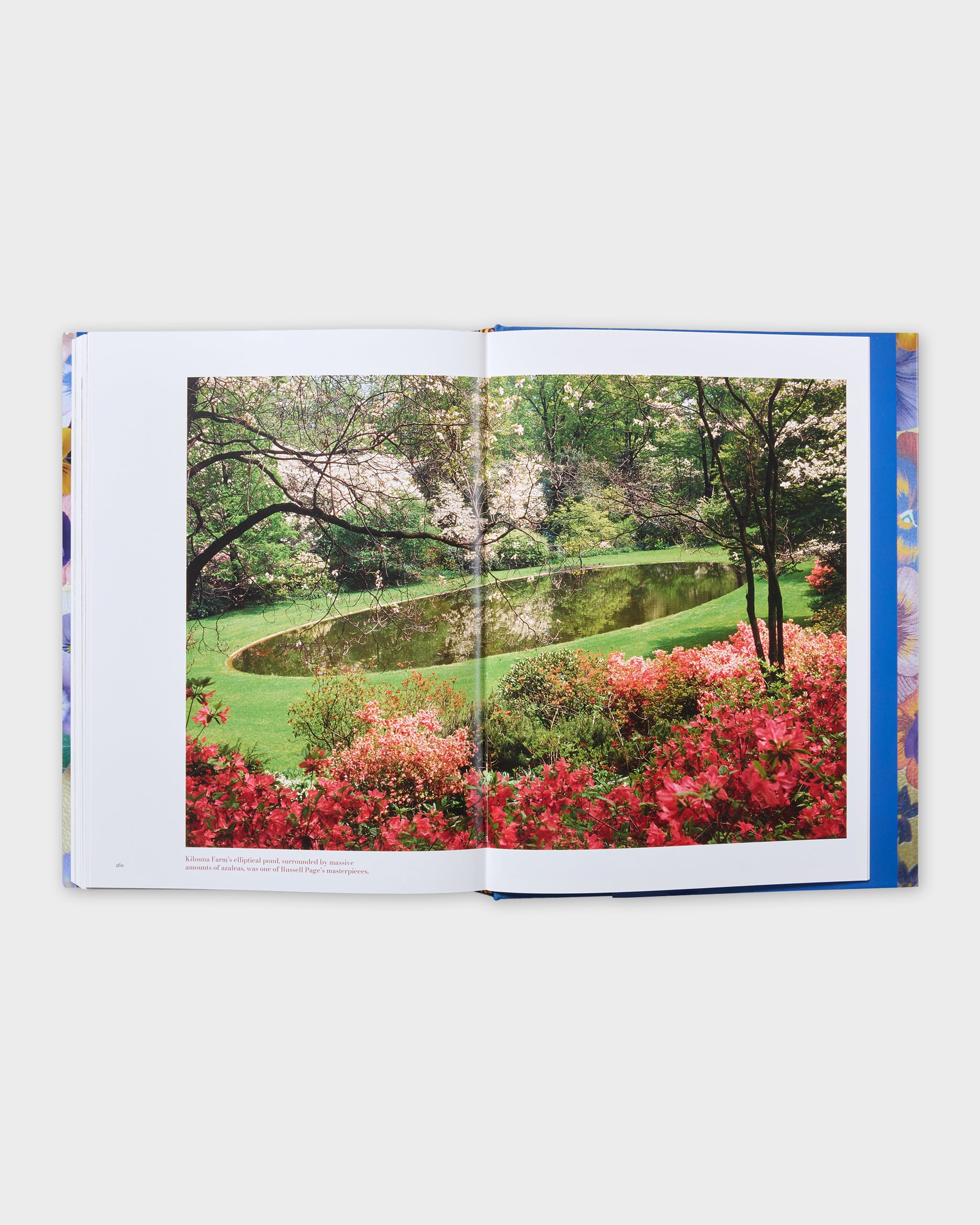 GRATS！グラッツ スリーブ 「JEWELRY」 水視ずみ Amazon.co.jp: GRATS