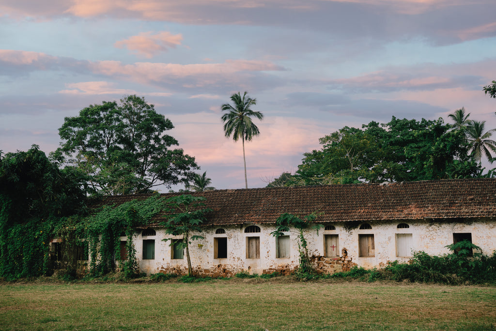 Antik Batik, Zeniba Gilet Mango