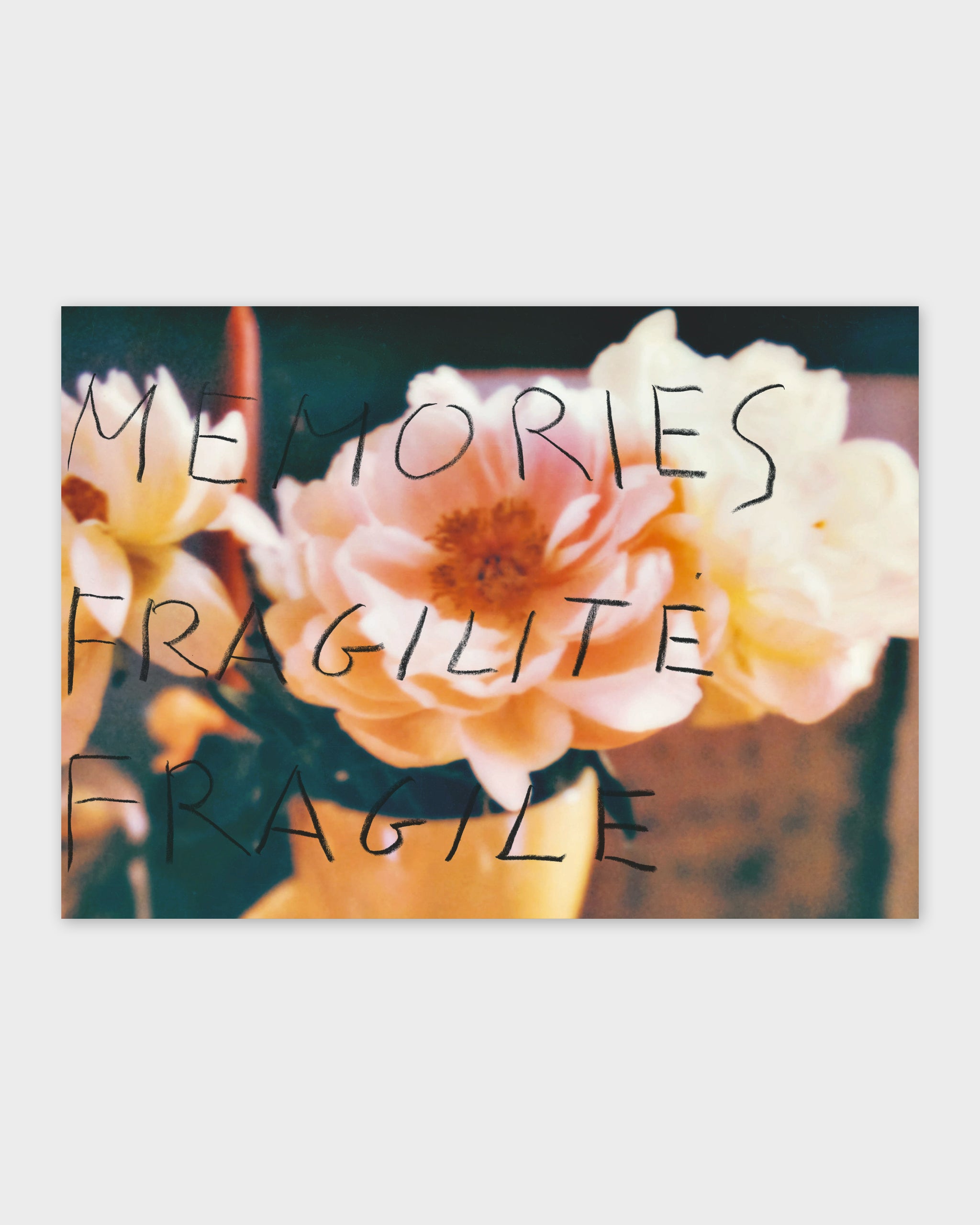 François Halard Francois Halard: Art and Flowers – Cabana Magazine