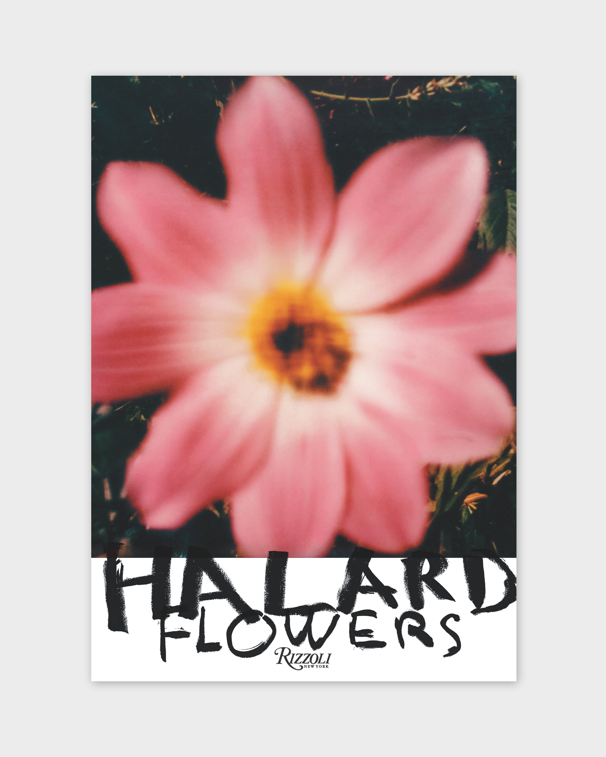 Francois Halard: Art and Flowers – Cabana Magazine