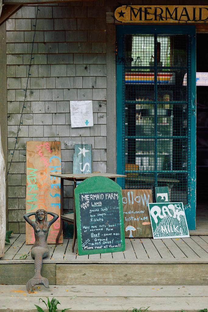 Tour the Pastoral Martha's Vineyard Abode of Designer Ariel Ashe, Architectural Digest