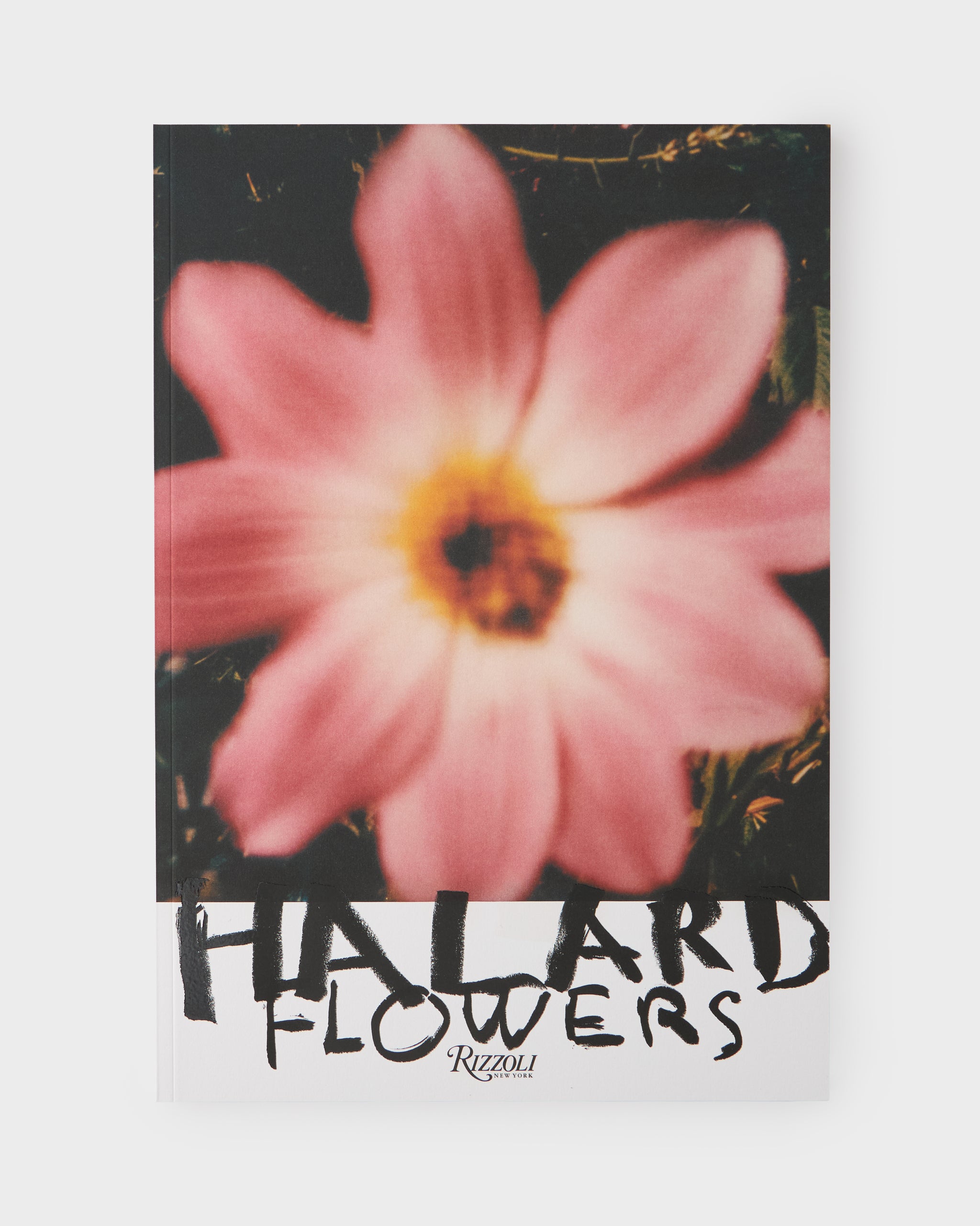 Francois Halard: Art and Flowers – Cabana Magazine