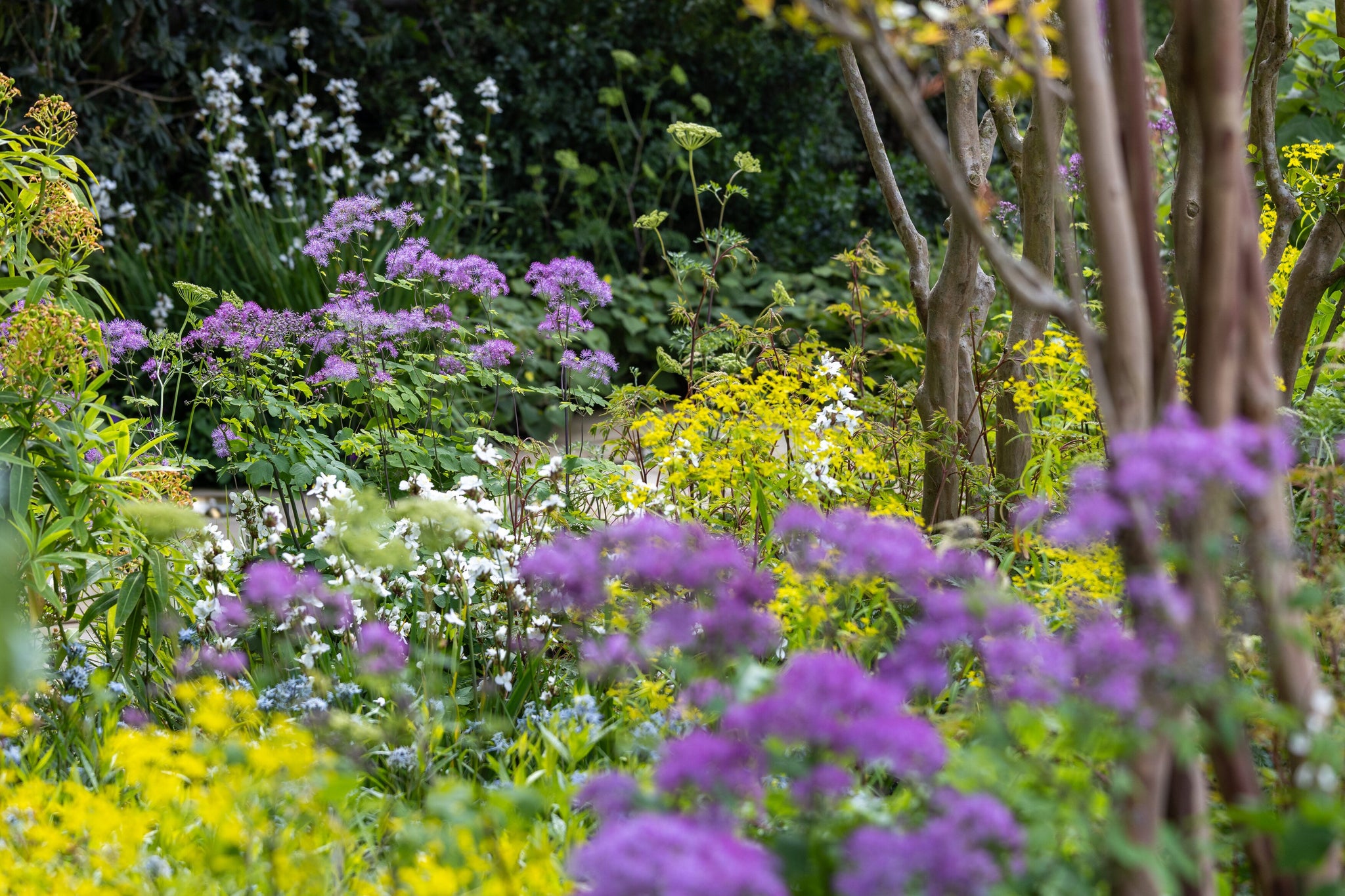 Cabana's Best In Show: RHS Chelsea 2026 – Cabana Magazine