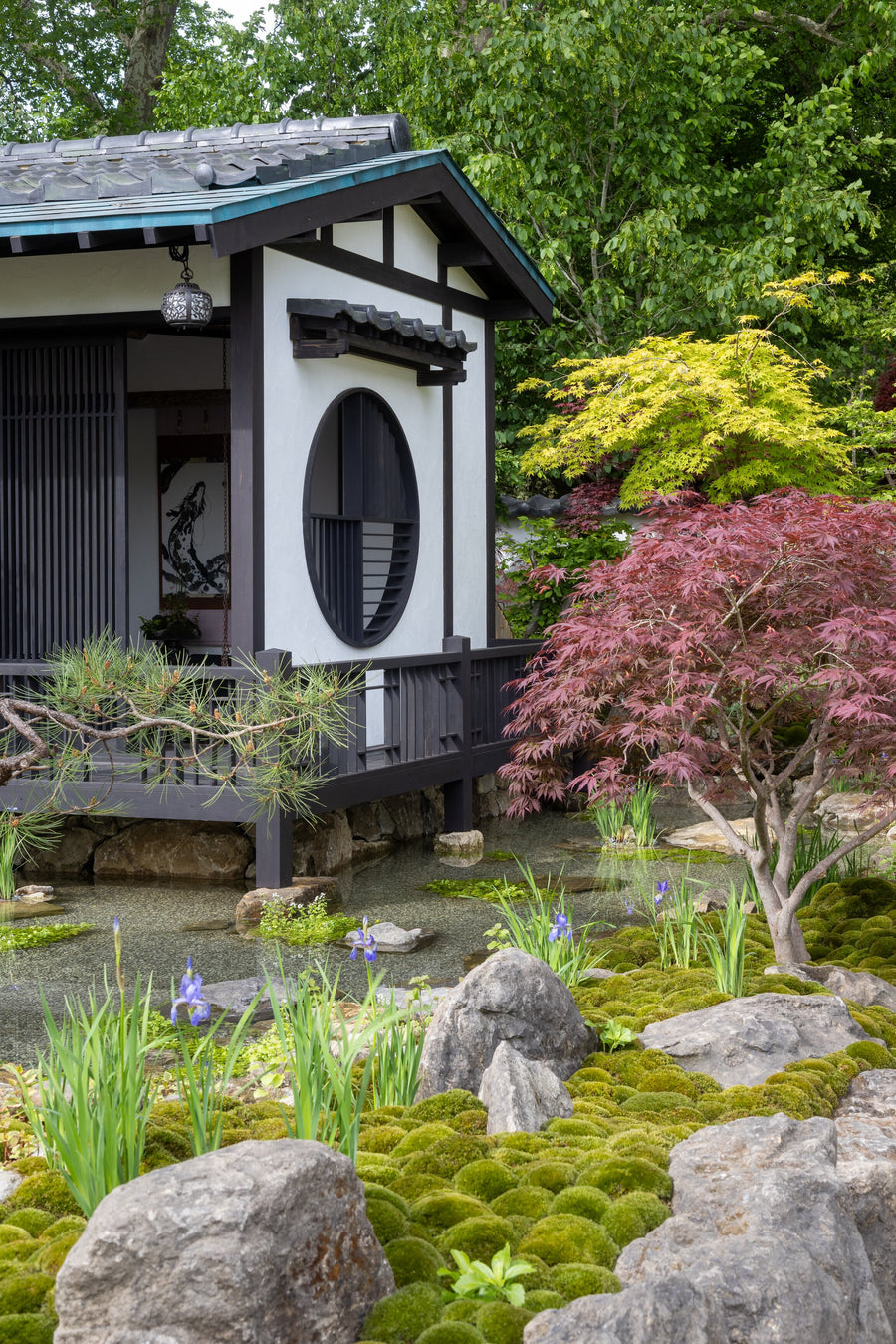 Cabana's Best In Show: RHS Chelsea 2026 – Cabana Magazine