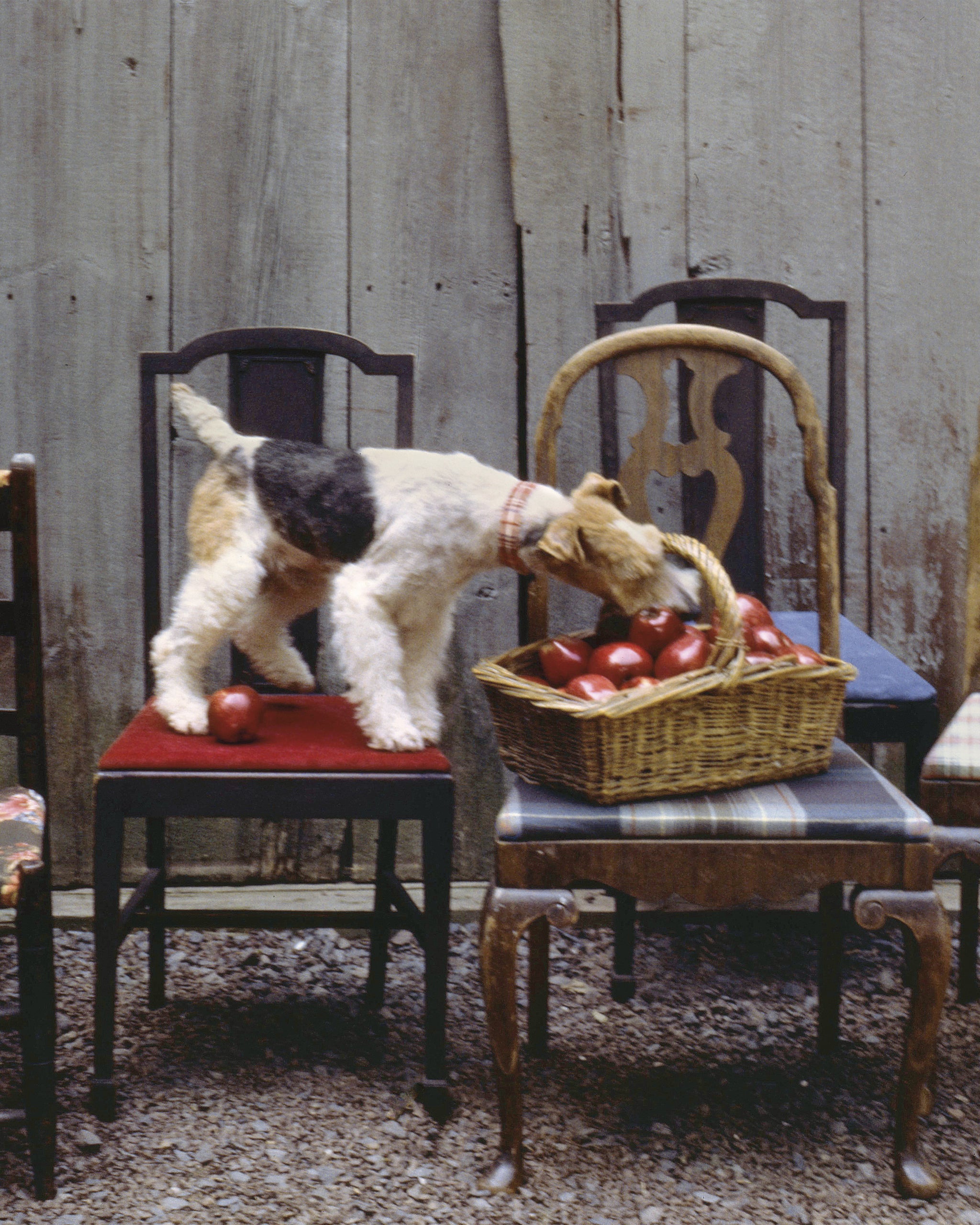 A Way of Living by Ralph Lauren – Cabana Magazine