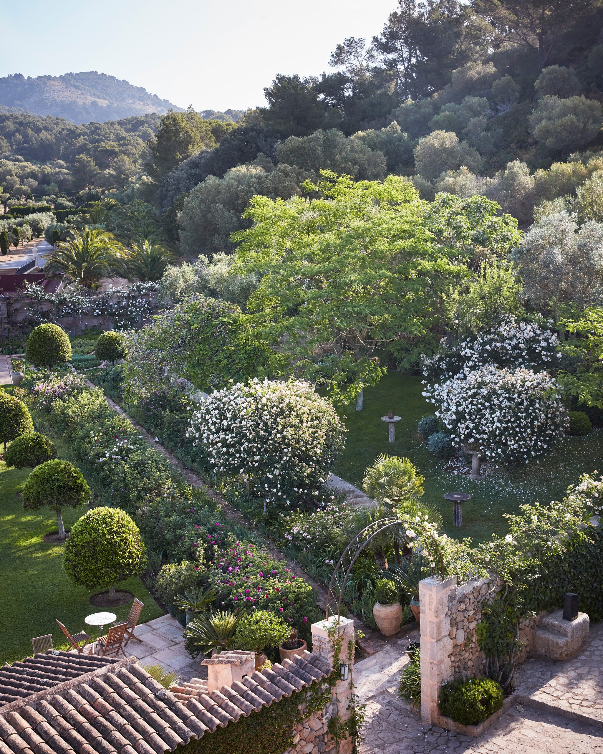 Roses in the Garden – Cabana Magazine