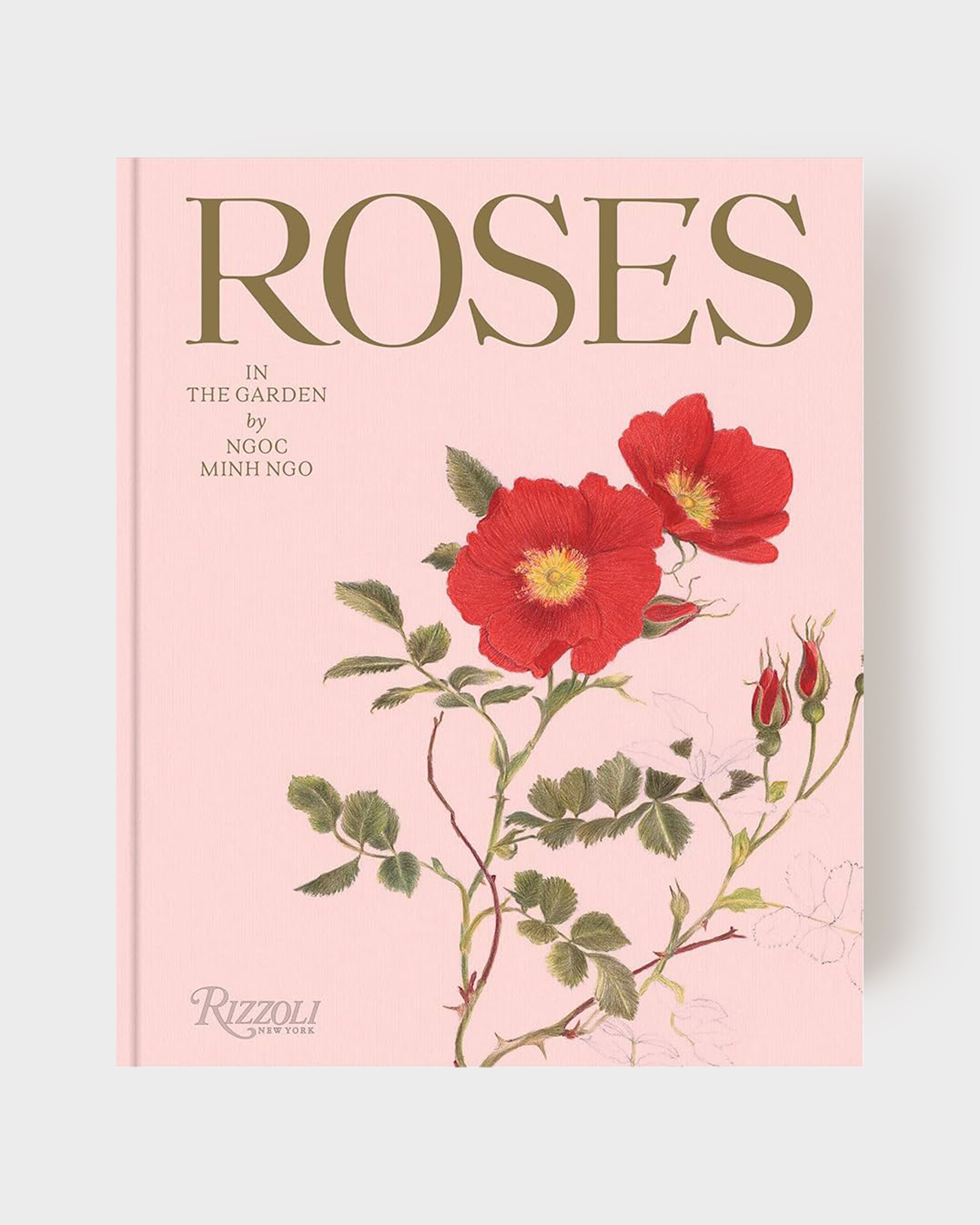 Roses in the Garden – Cabana Magazine