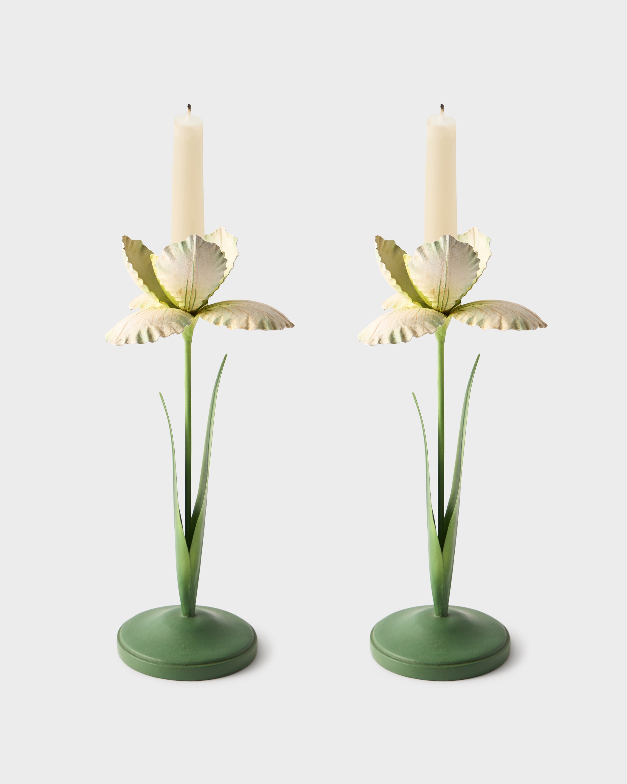 Daffodil Painted Metal Candle Holder, White (Set of 2) – Cabana