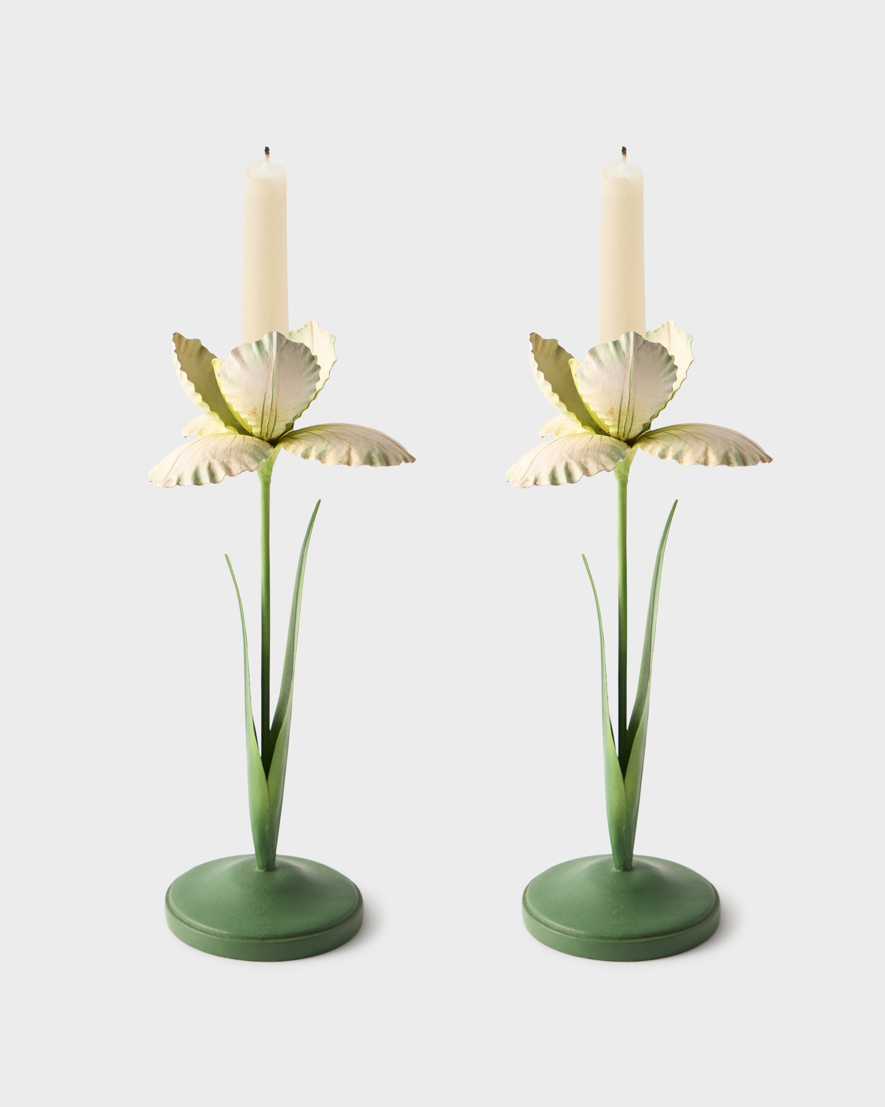 Daffodil Painted Metal Candle Holder, White (Set of 2) – Cabana