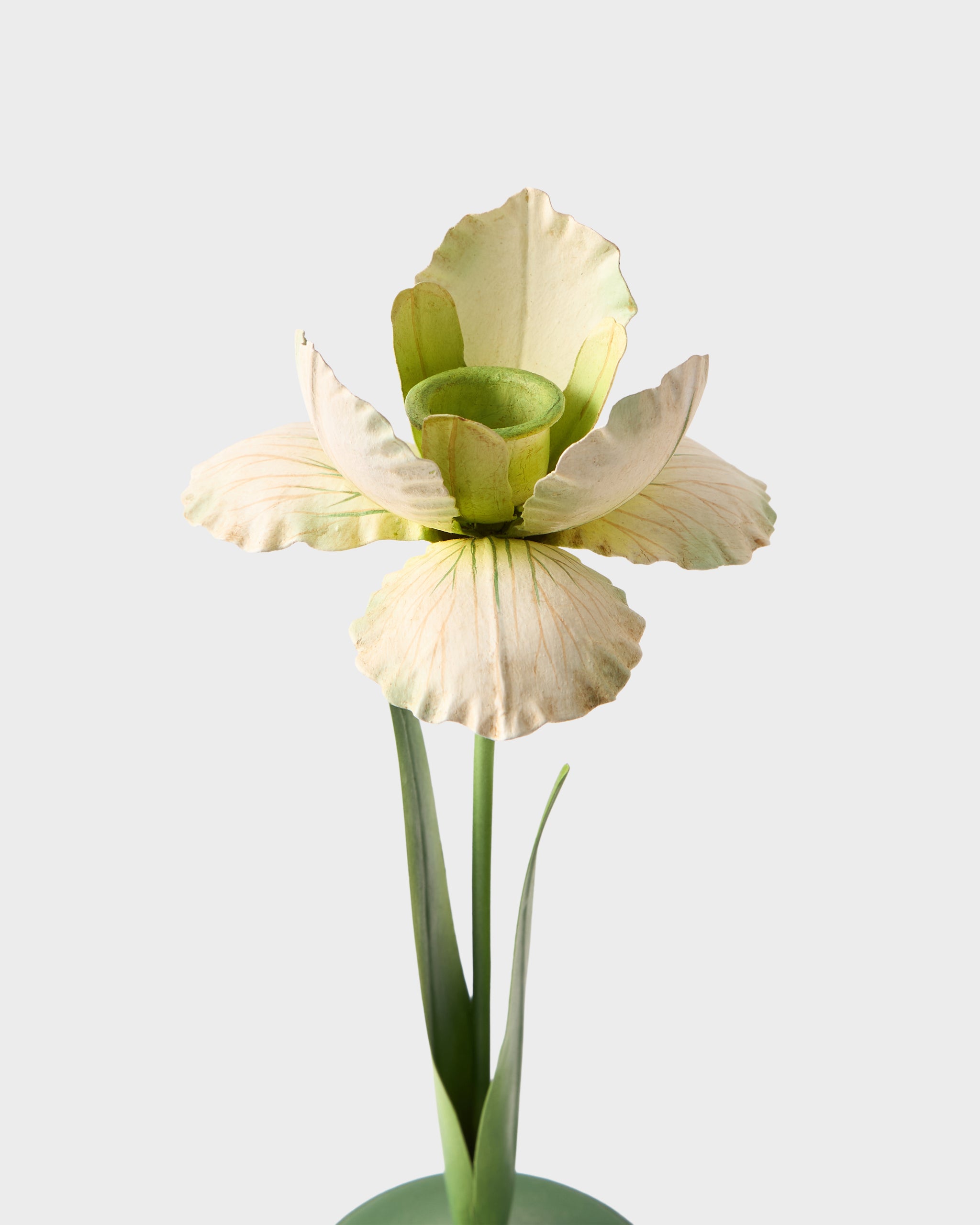 Daffodil Painted Metal Candle Holder, White – Cabana Magazine